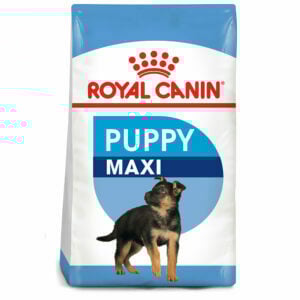 Khẩu phần thức ăn cho chó Samoyed khỏe mạnh 2 Thức ăn cho chó con ROYAL CANIN Maxi Puppy