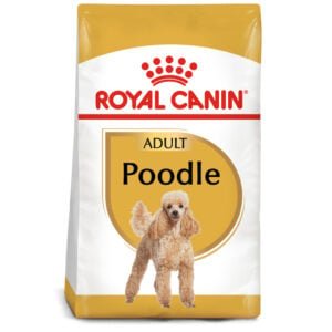 Thức ăn cho chó Poodle trưởng thành ROYAL CANIN Poodle Adult